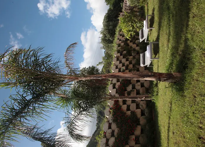 Residenza Roma 住宿加早餐酒店 特罗佩阿