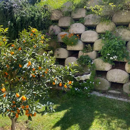 Residenza Roma 3* Tropea