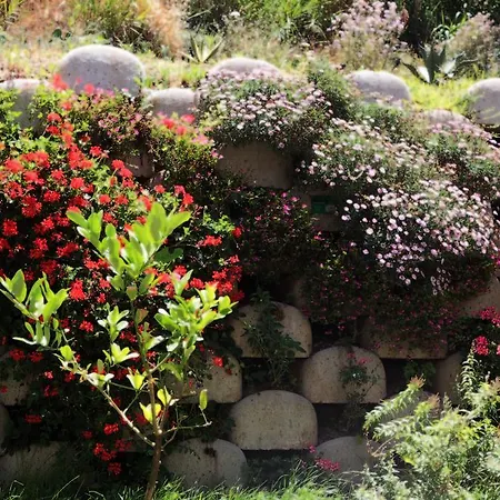 Bed & Breakfast Residenza Roma